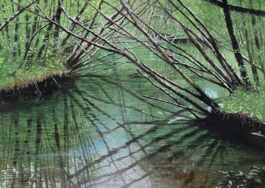 1.上高地の湿原