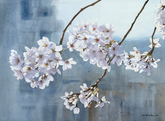 3.桜1