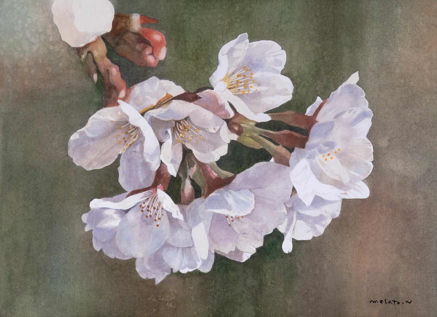 3.桜