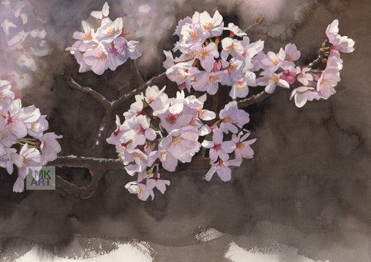 0.桜6