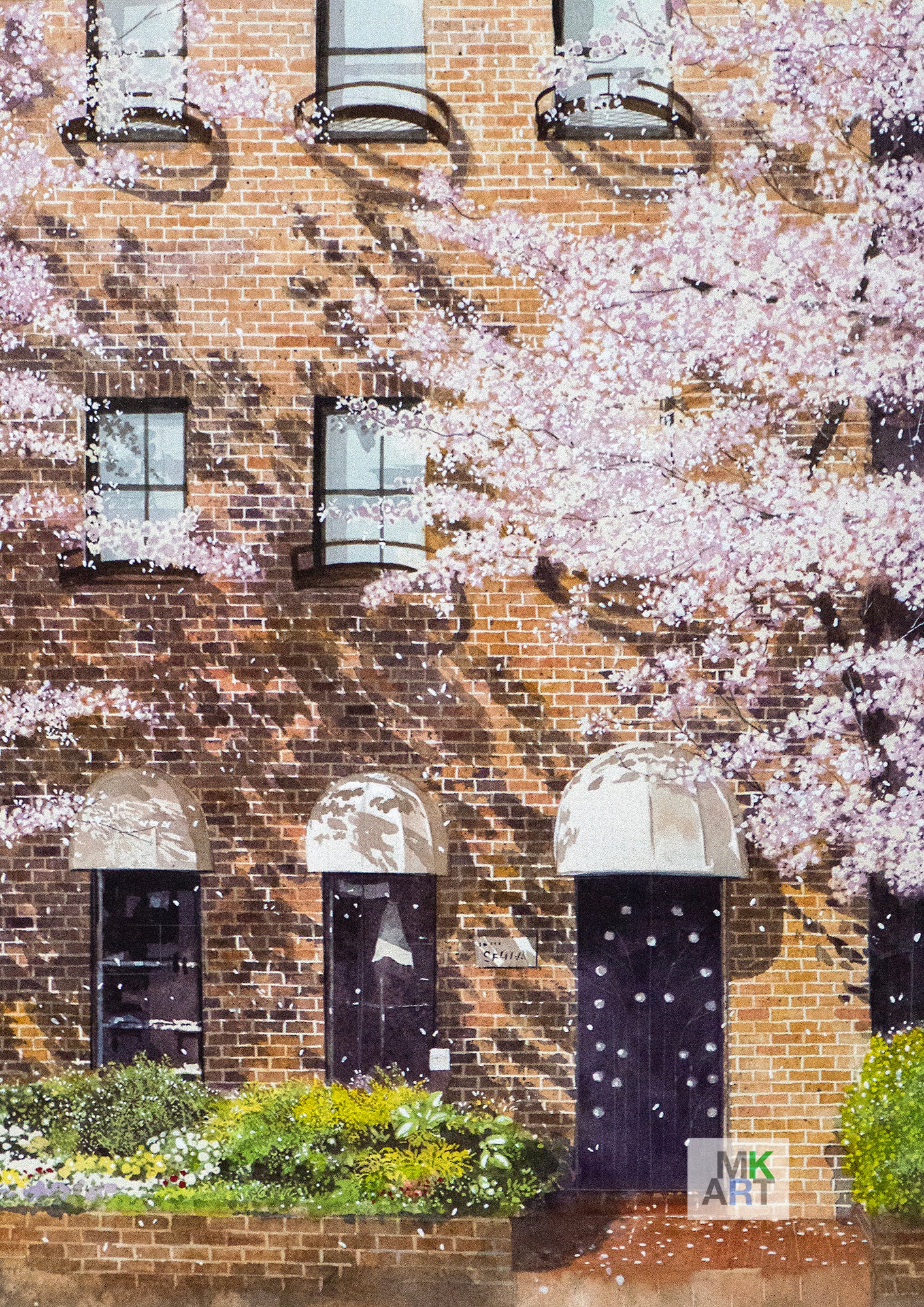 2. Cherry blossoms and brick building 2