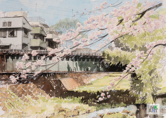 SK.桜と川のスケッチ/ Sakura and river sketch