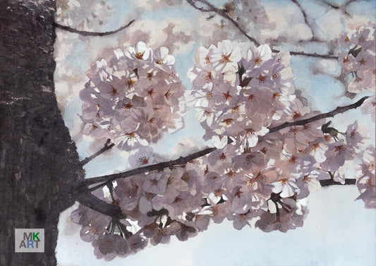 3.桜3