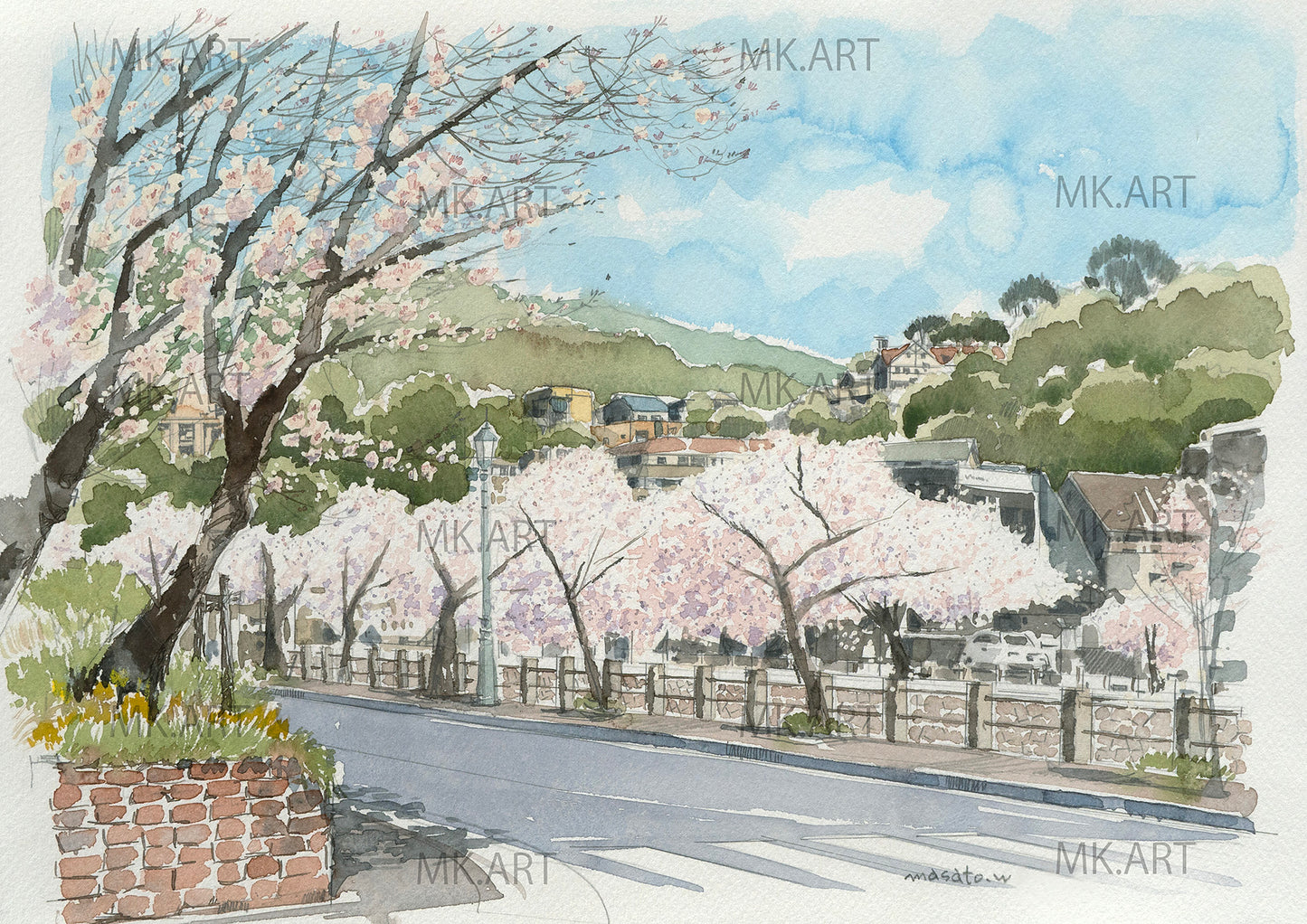 S.川沿いの桜