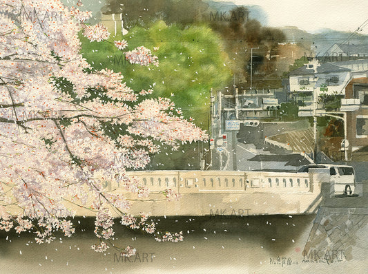 S.橋と桜